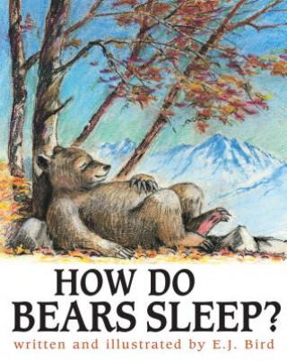 Knjiga How Do Bears Sleep? E. J. Bird