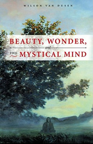 Könyv Beauty, Wonder, and the Mystical Mind Wilson Van Dusen