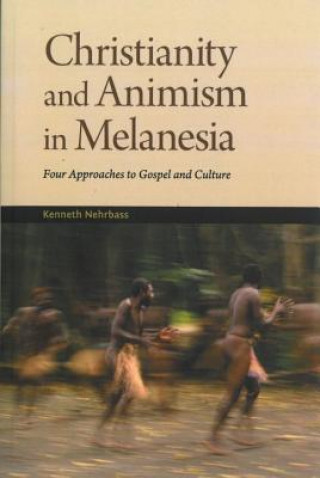 Kniha Christianity and Animism Melanesia Kenneth Nehrbass