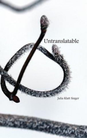 Buch Untranslatable Julia Klatt Singer