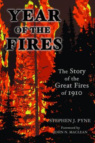 Kniha Year of the Fires: The Story of the Great Fires of 1910 Stephen J. Pyne