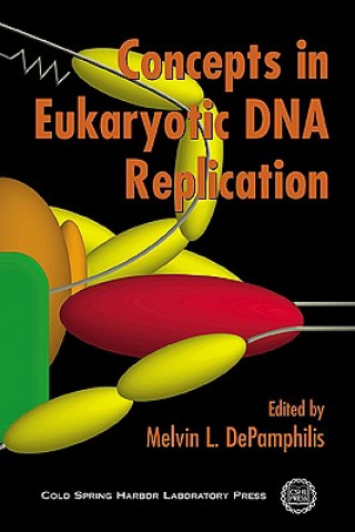 Kniha Concepts in DNA Replication Melvin L Depamphilis