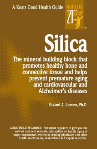 Knjiga Silica Edward A. Lemmo