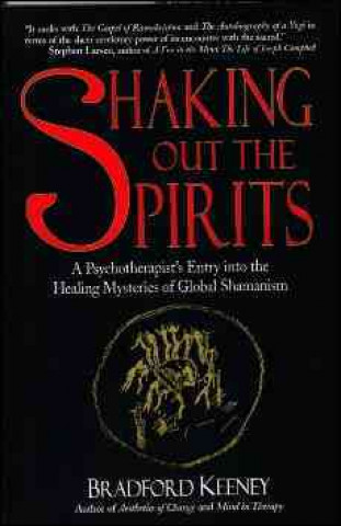 Kniha Shaking Out the Spirits Bradford Powell Keeney