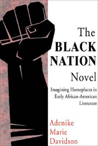 Kniha The Black Nation Novel: Imagining Homeplaces in Early African American Literature Adenike Marie Davidson