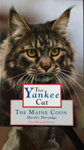 Könyv That Yankee Cat: The Maine Coon Marilis Hornidge