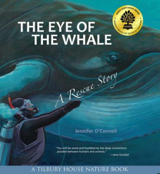 Kniha Eye of the Whale Jennifer O'Connell