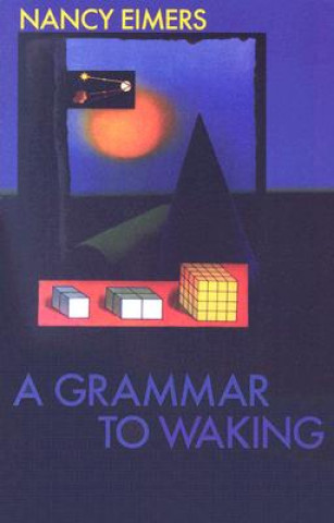 Knjiga Grammar to Waking Nancy Eimers