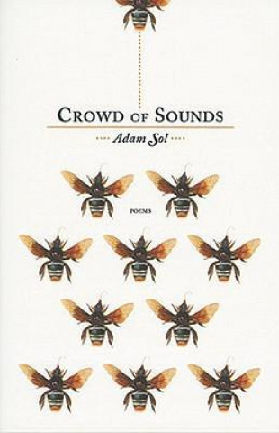 Carte Crowd of Sounds Adam Sol
