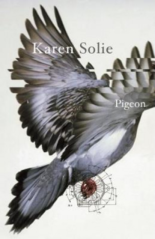 Kniha Pigeon Karen Solie
