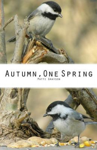 Knjiga Autumn, One Spring Patti Grayson