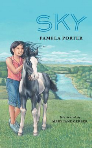 Knjiga Sky Pamela Porter