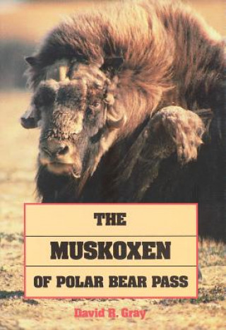 Buch The Muskoxen of Polar Bear Pass: Natural Museum of Canada David R. Gray