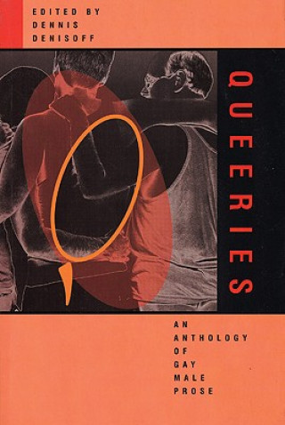 Knjiga Queeries: An Anthology of Gay Male Prose Dennis Denisoff