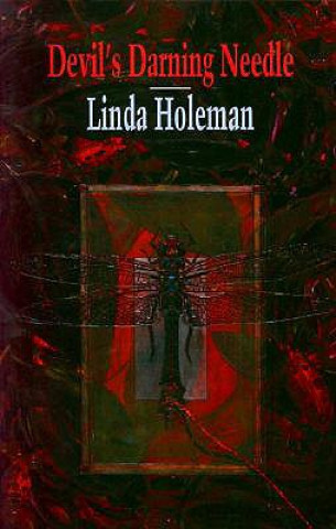 Kniha Devil's Darning Needle Linda Holeman