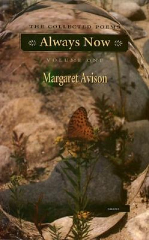 Kniha Always Now Margaret Avison