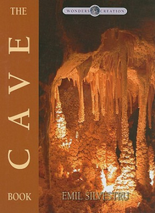 Carte The Cave Book Emil Silvestru