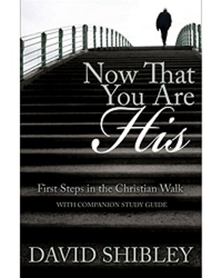 Buch Now That You Are His David Shibley