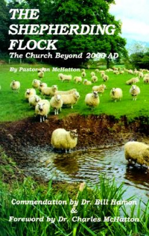 Kniha The Shepherding Flock: The Church Beyond 2000 AD Jon McHatton