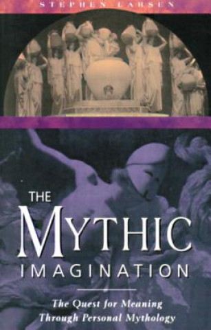 Book Mythic Imagination Stephen Larsen