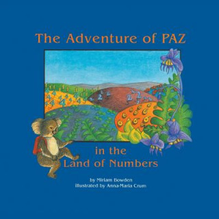 Könyv Adventure of Paz in the Land of Numbers Miriam Bowden