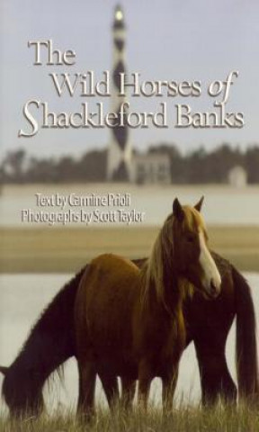 Carte Wild Horses of Shackleford Banks Carmine Prioli