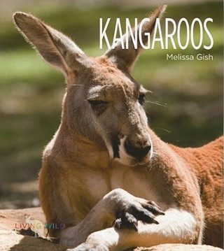 Kniha Kangaroos Melissa Gish