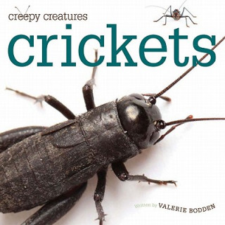 Buch Crickets Valerie Bodden