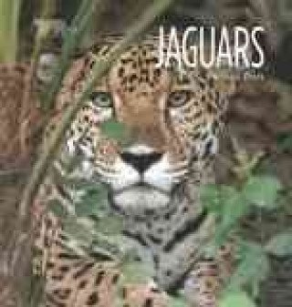Carte Living Wild: Jaguars Melissa Gish