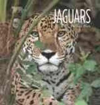 Книга Living Wild: Jaguars Melissa Gish