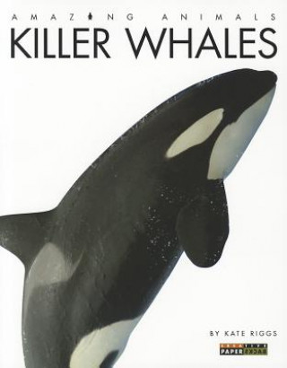 Carte Killer Whales Kate Riggs