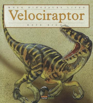 Buch Velociraptor Kate Riggs