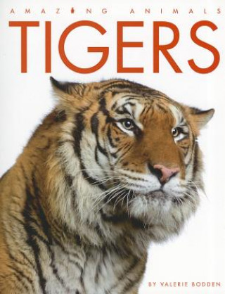 Libro Tigers Valerie Bodden