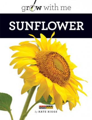 Buch Sunflower Kate Riggs