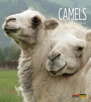 Kniha Camels Melissa Gish