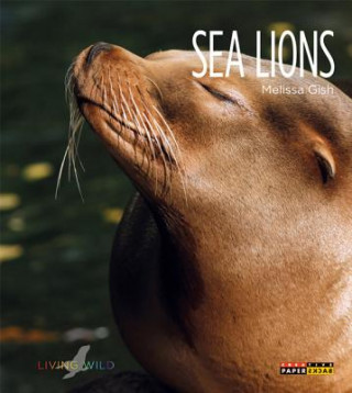 Kniha Sea Lions Melissa Gish