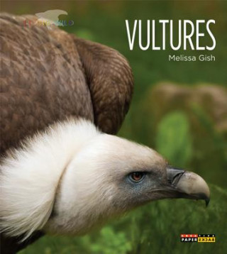 Buch Vultures Melissa Gish