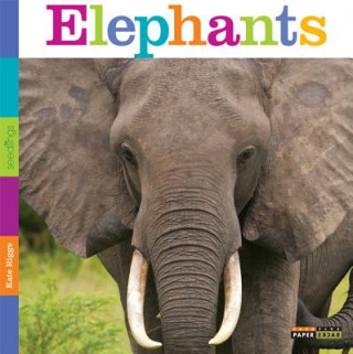 Carte Seedlings: Elephants Kate Riggs