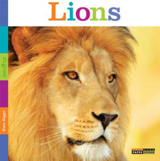 Buch Seedlings: Lions Kate Riggs