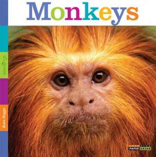 Könyv Seedlings: Monkeys Kate Riggs