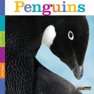 Buch Seedlings: Penguins Kate Riggs