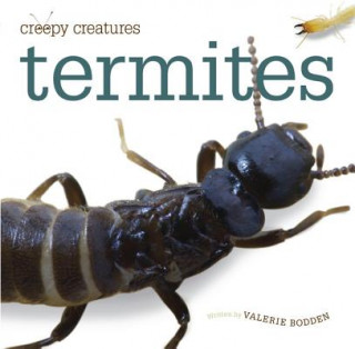 Książka Termites Valerie Bodden