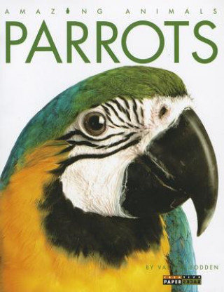 Carte Parrots Valerie Bodden