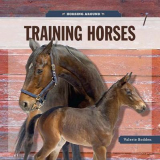 Carte Training Horses Valerie Bodden