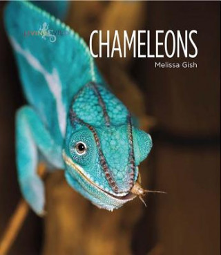 Kniha Chameleons Melissa Gish