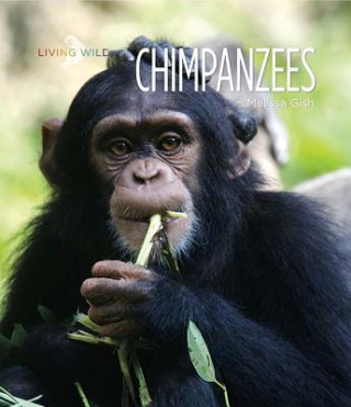 Carte Chimpanzees Melissa Gish