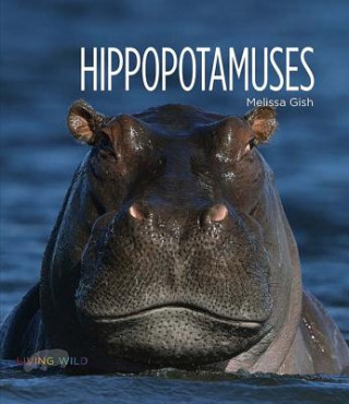 Carte Hippopotamuses Melissa Gish