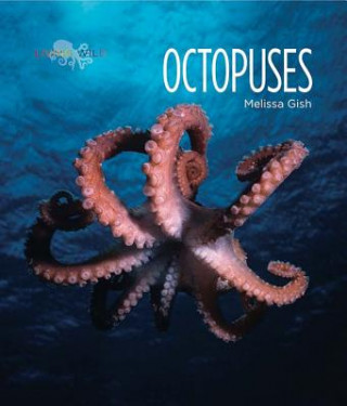 Książka Octopuses Melissa Gish