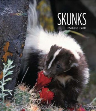 Kniha Skunks Melissa Gish