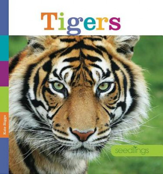Boek Tigers Kate Riggs
